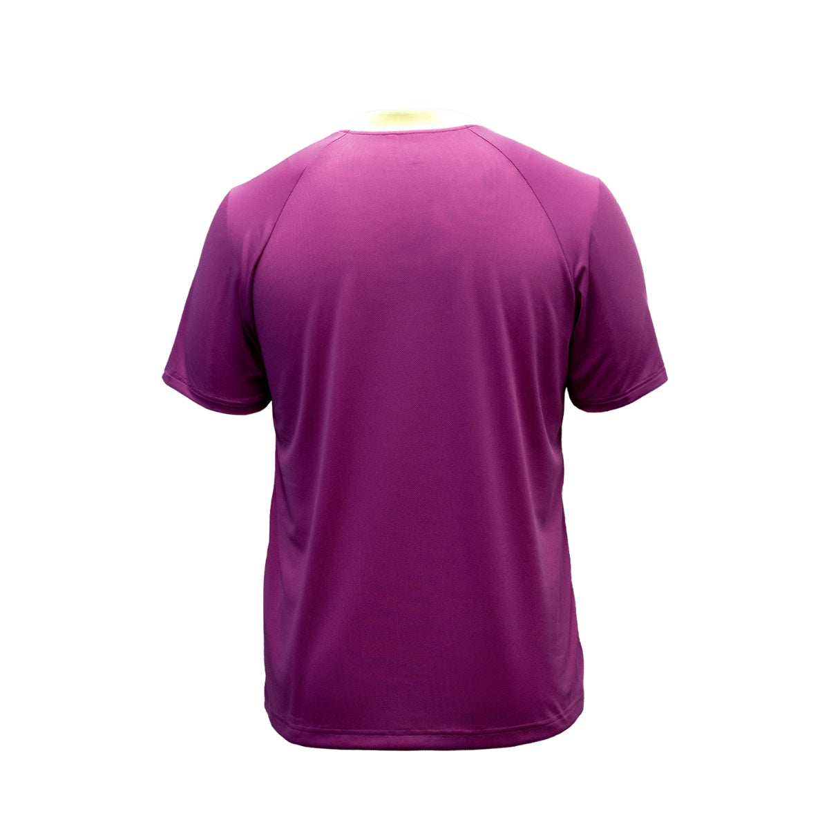 Camiseta JOOLA Safari Gradient Raglan Masculina