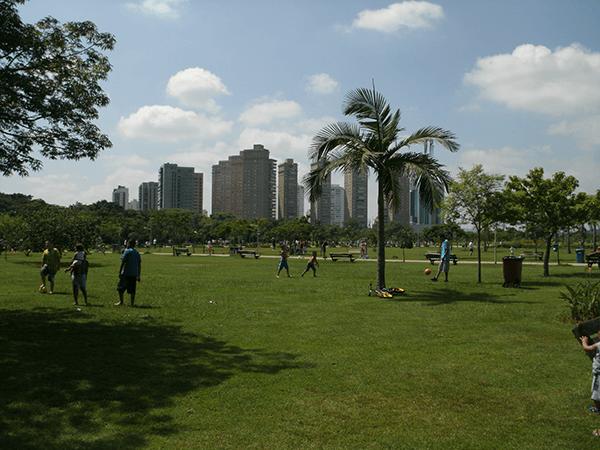 Brasileirão de Pickleball 2026 leva o maior encontro da modalidade ao Parque Villa-Lobos