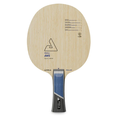 Raquete JOOLA Proline AW5