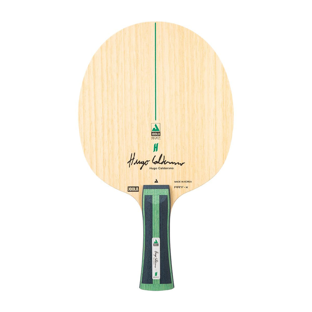 JOOLA Hugo Calderano ARY-X racket