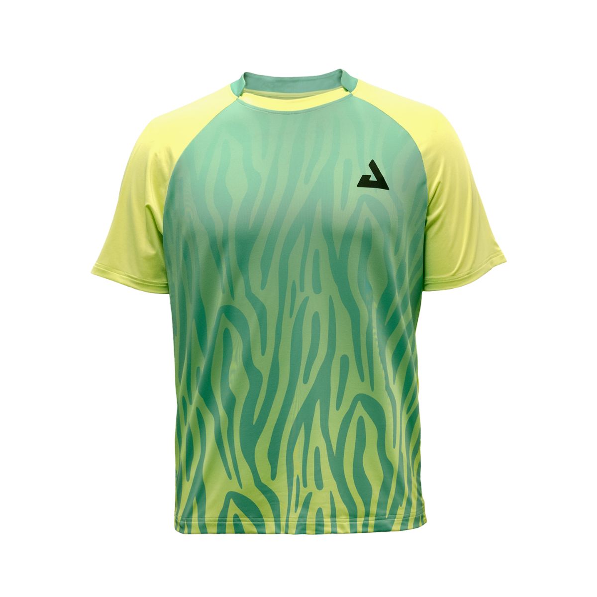 Camiseta JOOLA  Safari Gradient Raglan Masculina