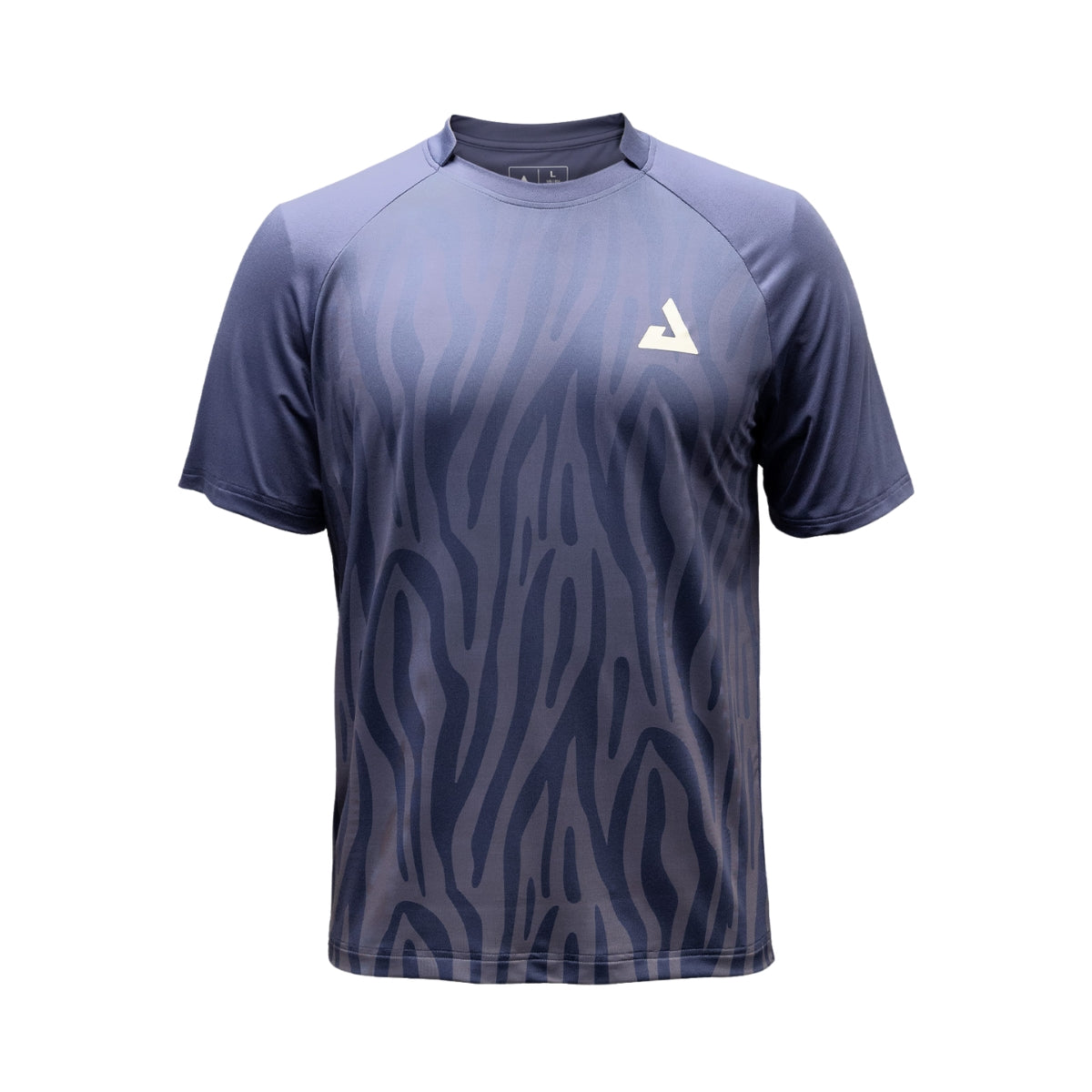 Camiseta JOOLA  Safari Gradient Raglan Masculina