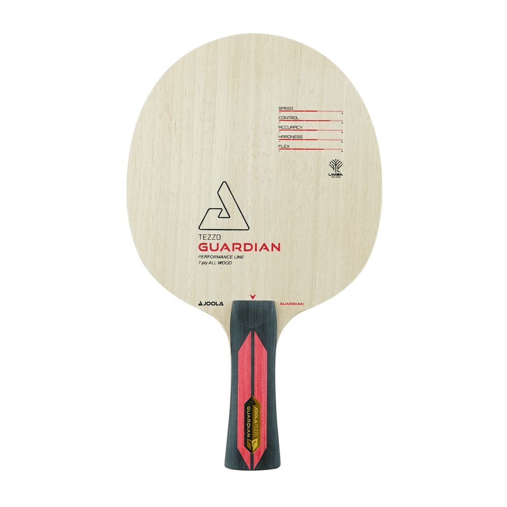 JOOLA Tezzo Guardian racket