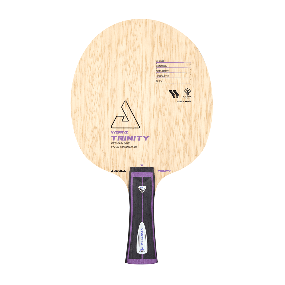 JOOLA Vyzaryz Trinity racket