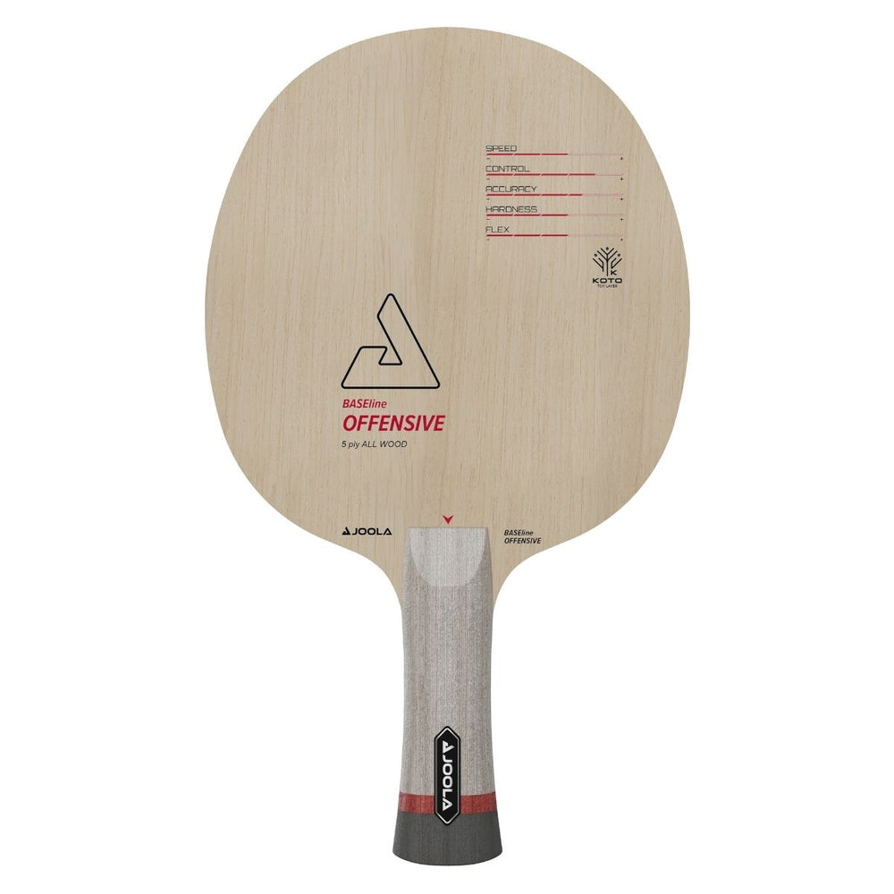 JOOLA BASEline Off racket