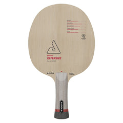 Raquete JOOLA BASEline Off